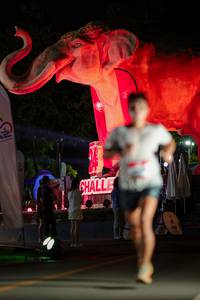 BIB: 
                            <button type="button" onclick="openModal(26533496)" class="btn btn-primary btn-sm float-right btn-popup" data-toggle="modal" data-target=".modal-high-quality">
                        <i class="fas fa-shopping-cart"></i> Add to Cart
                    </button>
                                            <button type="button" onclick="isThisMe(26533496, true)" class="btn btn-success btn-sm float-right btn-popup btn-isme hidden" data-toggle="tooltip" data-placement="bottom" title="นี่คือรูปของคุณใช่ไหม คลิกที่นี่เพื่อเอาเข้าอัลบั้ม">
                        <i class="fas fa-plus"></i> Add to album
                    </button>
                    <button type="button" onclick="isThisMe(26533496, false)" class="btn btn-warning btn-sm float-right btn-popup btn-isnotme hidden">
                        <i class="fas fa-ban"></i> Remove from album
                    </button>